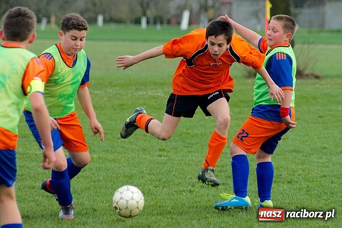 Zdjęcie w galerii na portalu naszraciborz.pl: Młodziki Grzegorzowic zdobyły Zameczek wiadomości z regionu