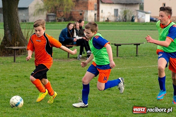 Zdjęcie w galerii na portalu naszraciborz.pl: Młodziki Grzegorzowic zdobyły Zameczek wiadomości z regionu