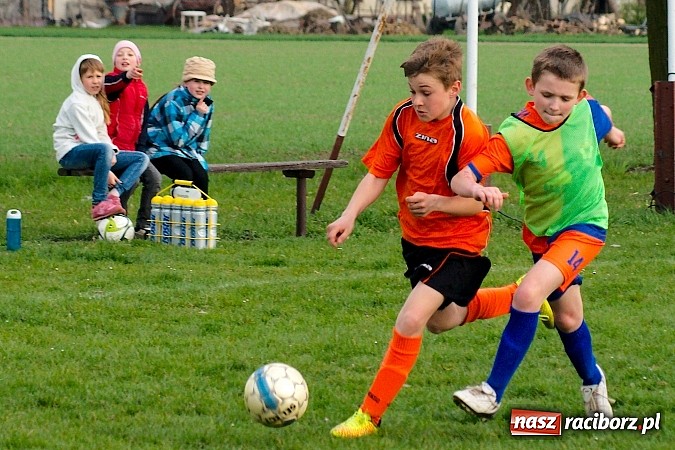 Zdjęcie w galerii na portalu naszraciborz.pl: Młodziki Grzegorzowic zdobyły Zameczek wiadomości z regionu