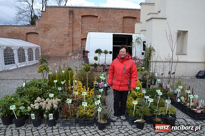 Zdjęcie w galerii na portalu naszraciborz.pl: III Zamkowy Jarmark kwiatów, żywności ekologicznej i rękodzieła już za nami wiadomości z regionu