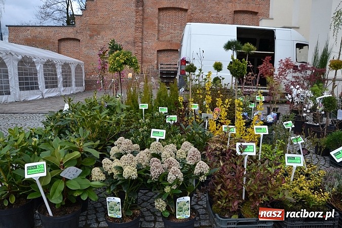 Zdjęcie w galerii na portalu naszraciborz.pl: III Zamkowy Jarmark kwiatów, żywności ekologicznej i rękodzieła już za nami wiadomości z regionu