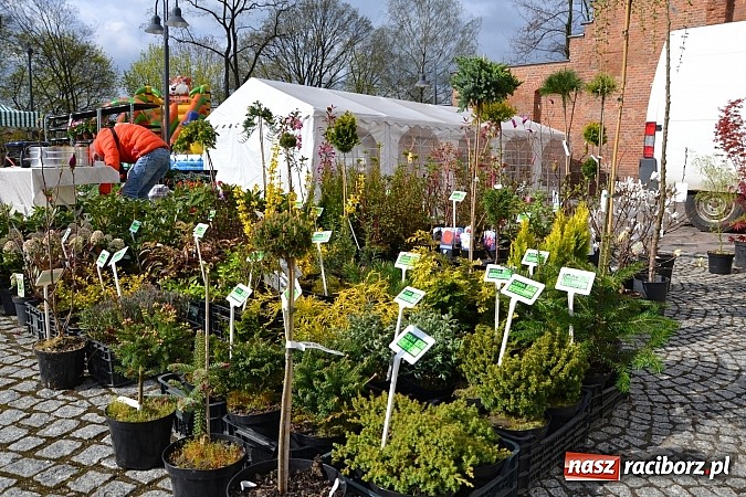 Zdjęcie w galerii na portalu naszraciborz.pl: III Zamkowy Jarmark kwiatów, żywności ekologicznej i rękodzieła już za nami wiadomości z regionu