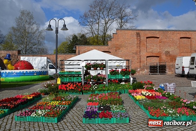 Zdjęcie w galerii na portalu naszraciborz.pl: III Zamkowy Jarmark kwiatów, żywności ekologicznej i rękodzieła już za nami wiadomości z regionu