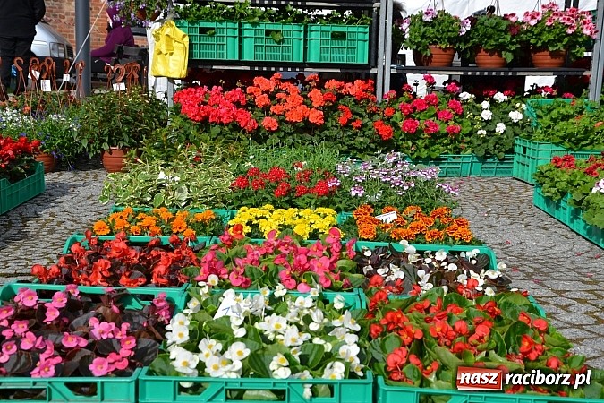 Zdjęcie w galerii na portalu naszraciborz.pl: III Zamkowy Jarmark kwiatów, żywności ekologicznej i rękodzieła już za nami wiadomości z regionu