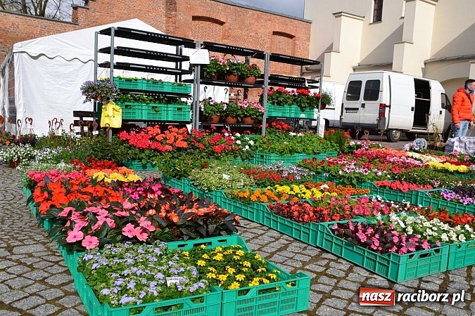 Zdjęcie w galerii na portalu naszraciborz.pl: III Zamkowy Jarmark kwiatów, żywności ekologicznej i rękodzieła już za nami wiadomości z regionu