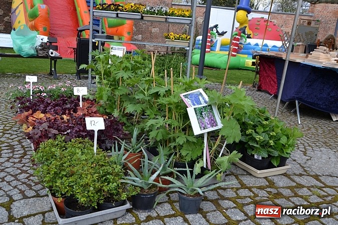 Zdjęcie w galerii na portalu naszraciborz.pl: III Zamkowy Jarmark kwiatów, żywności ekologicznej i rękodzieła już za nami wiadomości z regionu