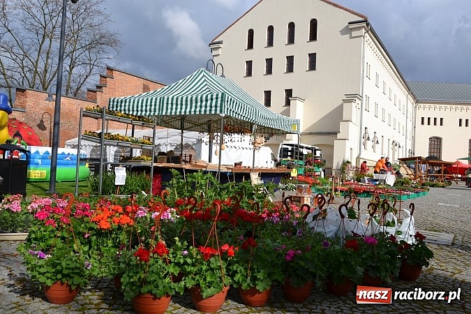 Zdjęcie w galerii na portalu naszraciborz.pl: III Zamkowy Jarmark kwiatów, żywności ekologicznej i rękodzieła już za nami wiadomości z regionu