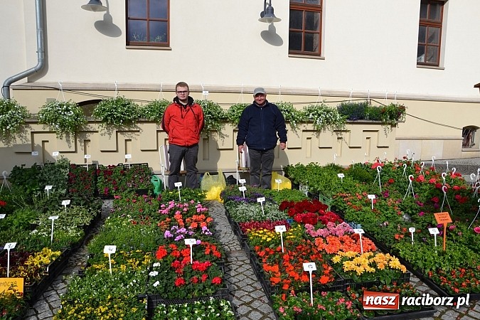 Zdjęcie w galerii na portalu naszraciborz.pl: III Zamkowy Jarmark kwiatów, żywności ekologicznej i rękodzieła już za nami wiadomości z regionu