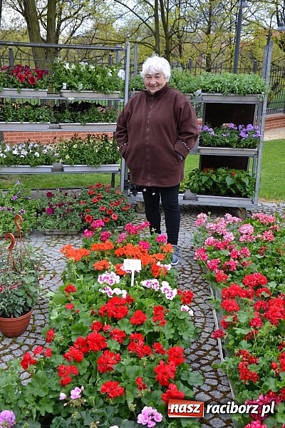 Zdjęcie w galerii na portalu naszraciborz.pl: III Zamkowy Jarmark kwiatów, żywności ekologicznej i rękodzieła już za nami wiadomości z regionu