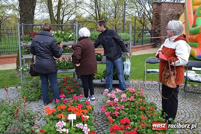 Zdjęcie w galerii na portalu naszraciborz.pl: III Zamkowy Jarmark kwiatów, żywności ekologicznej i rękodzieła już za nami wiadomości z regionu