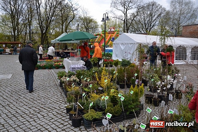Zdjęcie w galerii na portalu naszraciborz.pl: III Zamkowy Jarmark kwiatów, żywności ekologicznej i rękodzieła już za nami wiadomości z regionu