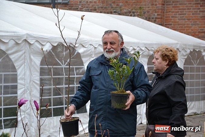 Zdjęcie w galerii na portalu naszraciborz.pl: III Zamkowy Jarmark kwiatów, żywności ekologicznej i rękodzieła już za nami wiadomości z regionu