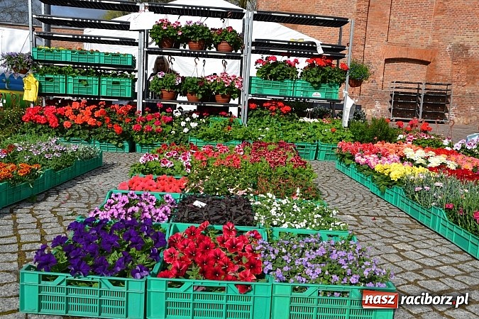 Zdjęcie w galerii na portalu naszraciborz.pl: III Zamkowy Jarmark kwiatów, żywności ekologicznej i rękodzieła już za nami wiadomości z regionu