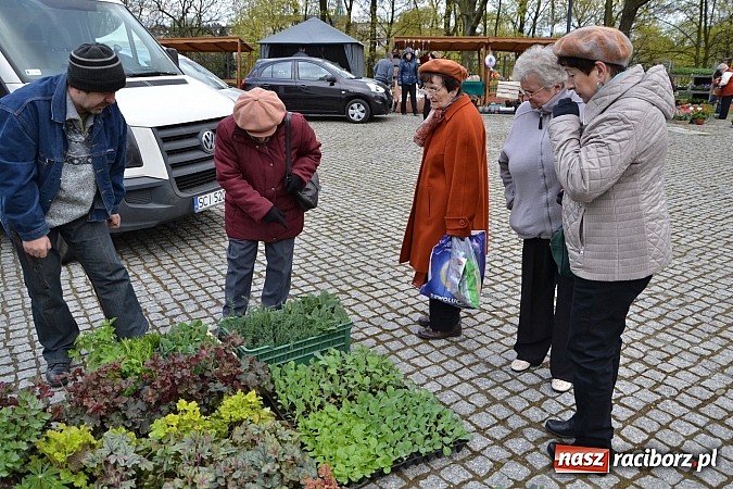 Zdjęcie w galerii na portalu naszraciborz.pl: III Zamkowy Jarmark kwiatów, żywności ekologicznej i rękodzieła już za nami wiadomości z regionu
