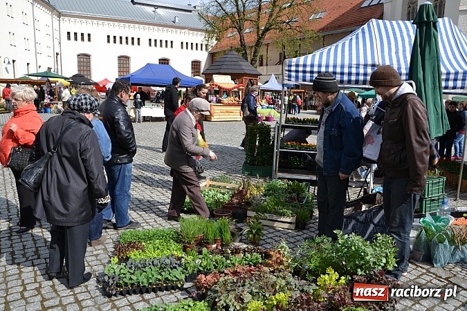 Zdjęcie w galerii na portalu naszraciborz.pl: III Zamkowy Jarmark kwiatów, żywności ekologicznej i rękodzieła już za nami wiadomości z regionu