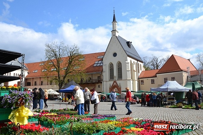 Zdjęcie w galerii na portalu naszraciborz.pl: III Zamkowy Jarmark kwiatów, żywności ekologicznej i rękodzieła już za nami wiadomości z regionu