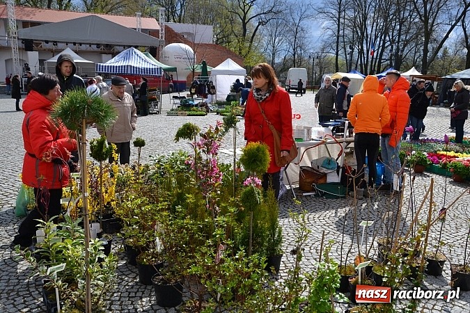 Zdjęcie w galerii na portalu naszraciborz.pl: III Zamkowy Jarmark kwiatów, żywności ekologicznej i rękodzieła już za nami wiadomości z regionu