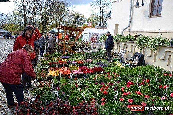 Zdjęcie w galerii na portalu naszraciborz.pl: III Zamkowy Jarmark kwiatów, żywności ekologicznej i rękodzieła już za nami wiadomości z regionu