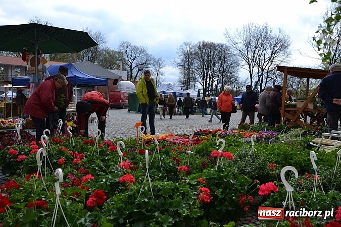 Zdjęcie w galerii na portalu naszraciborz.pl: III Zamkowy Jarmark kwiatów, żywności ekologicznej i rękodzieła już za nami wiadomości z regionu