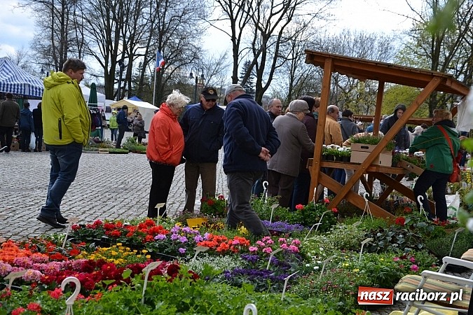 Zdjęcie w galerii na portalu naszraciborz.pl: III Zamkowy Jarmark kwiatów, żywności ekologicznej i rękodzieła już za nami wiadomości z regionu