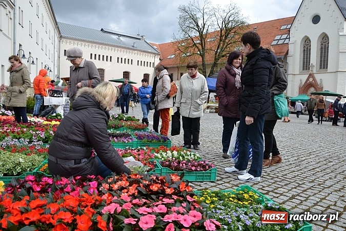 Zdjęcie w galerii na portalu naszraciborz.pl: III Zamkowy Jarmark kwiatów, żywności ekologicznej i rękodzieła już za nami wiadomości z regionu
