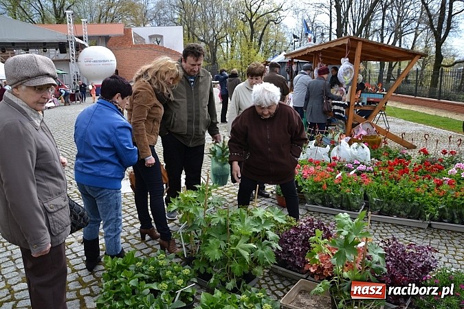 Zdjęcie w galerii na portalu naszraciborz.pl: III Zamkowy Jarmark kwiatów, żywności ekologicznej i rękodzieła już za nami wiadomości z regionu