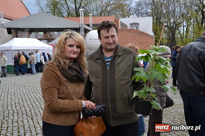 Zdjęcie w galerii na portalu naszraciborz.pl: III Zamkowy Jarmark kwiatów, żywności ekologicznej i rękodzieła już za nami wiadomości z regionu