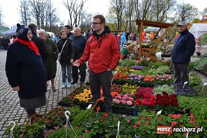Zdjęcie w galerii na portalu naszraciborz.pl: III Zamkowy Jarmark kwiatów, żywności ekologicznej i rękodzieła już za nami wiadomości z regionu
