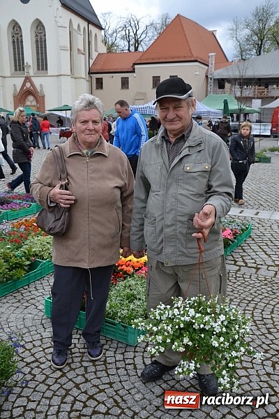 Zdjęcie w galerii na portalu naszraciborz.pl: III Zamkowy Jarmark kwiatów, żywności ekologicznej i rękodzieła już za nami wiadomości z regionu