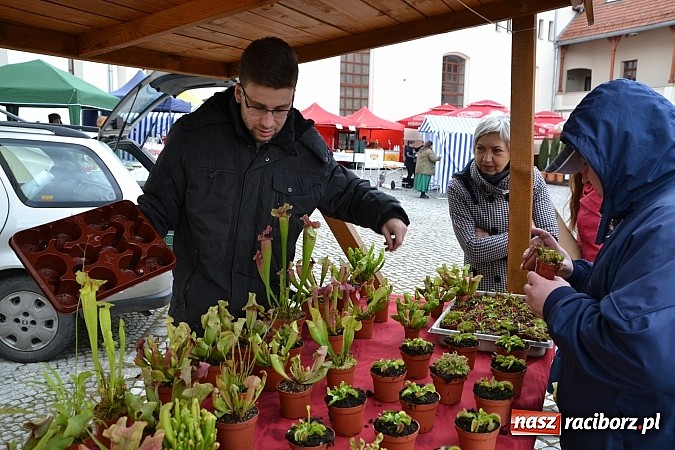 Zdjęcie w galerii na portalu naszraciborz.pl: III Zamkowy Jarmark kwiatów, żywności ekologicznej i rękodzieła już za nami wiadomości z regionu