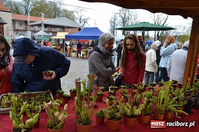 Zdjęcie w galerii na portalu naszraciborz.pl: III Zamkowy Jarmark kwiatów, żywności ekologicznej i rękodzieła już za nami wiadomości z regionu