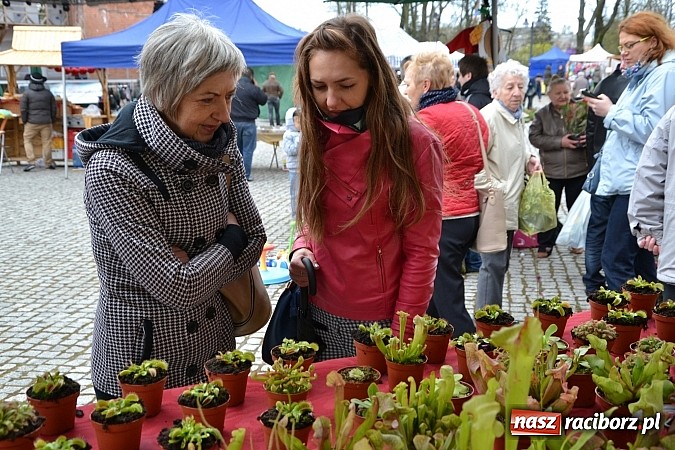 Zdjęcie w galerii na portalu naszraciborz.pl: III Zamkowy Jarmark kwiatów, żywności ekologicznej i rękodzieła już za nami wiadomości z regionu