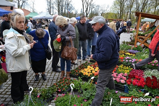 Zdjęcie w galerii na portalu naszraciborz.pl: III Zamkowy Jarmark kwiatów, żywności ekologicznej i rękodzieła już za nami wiadomości z regionu