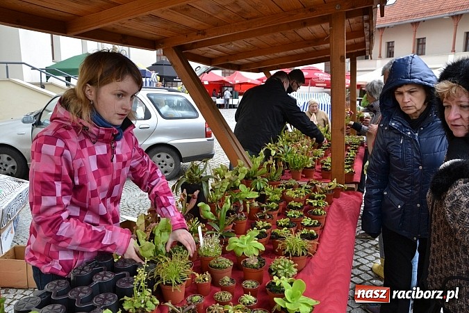 Zdjęcie w galerii na portalu naszraciborz.pl: III Zamkowy Jarmark kwiatów, żywności ekologicznej i rękodzieła już za nami wiadomości z regionu