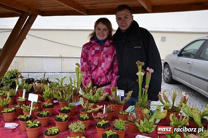 Zdjęcie w galerii na portalu naszraciborz.pl: III Zamkowy Jarmark kwiatów, żywności ekologicznej i rękodzieła już za nami wiadomości z regionu