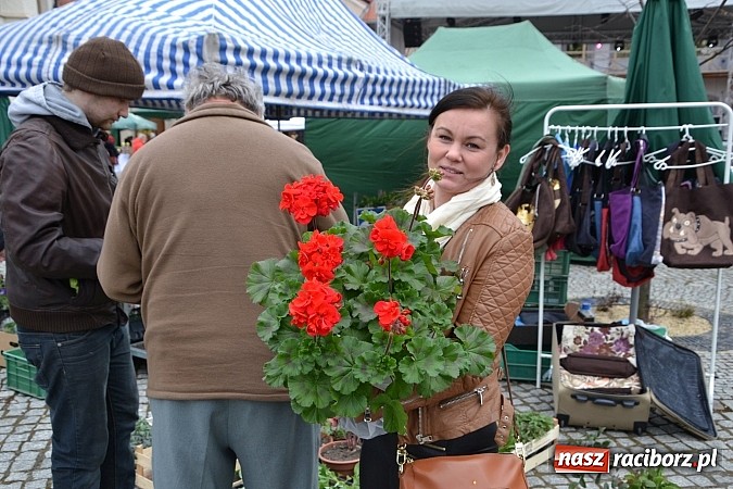 Zdjęcie w galerii na portalu naszraciborz.pl: III Zamkowy Jarmark kwiatów, żywności ekologicznej i rękodzieła już za nami wiadomości z regionu