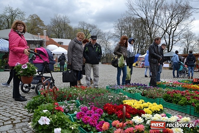 Zdjęcie w galerii na portalu naszraciborz.pl: III Zamkowy Jarmark kwiatów, żywności ekologicznej i rękodzieła już za nami wiadomości z regionu