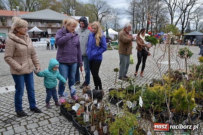 Zdjęcie w galerii na portalu naszraciborz.pl: III Zamkowy Jarmark kwiatów, żywności ekologicznej i rękodzieła już za nami wiadomości z regionu