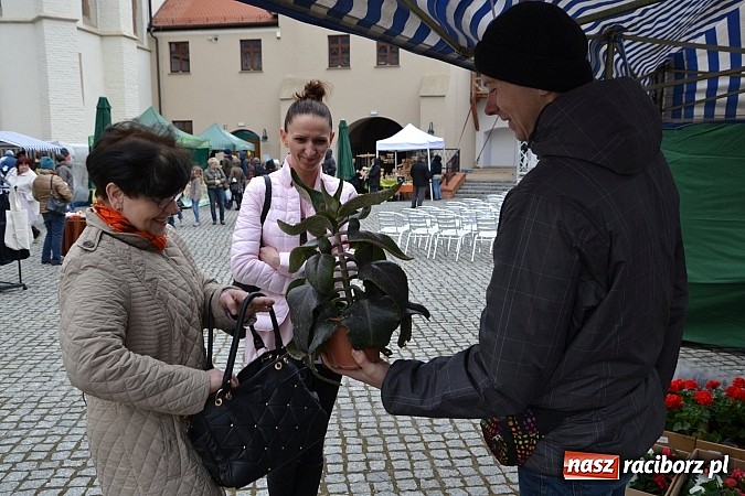 Zdjęcie w galerii na portalu naszraciborz.pl: III Zamkowy Jarmark kwiatów, żywności ekologicznej i rękodzieła już za nami wiadomości z regionu