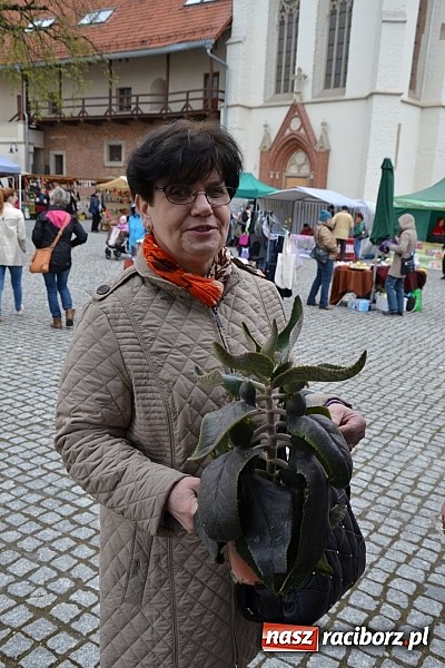 Zdjęcie w galerii na portalu naszraciborz.pl: III Zamkowy Jarmark kwiatów, żywności ekologicznej i rękodzieła już za nami wiadomości z regionu