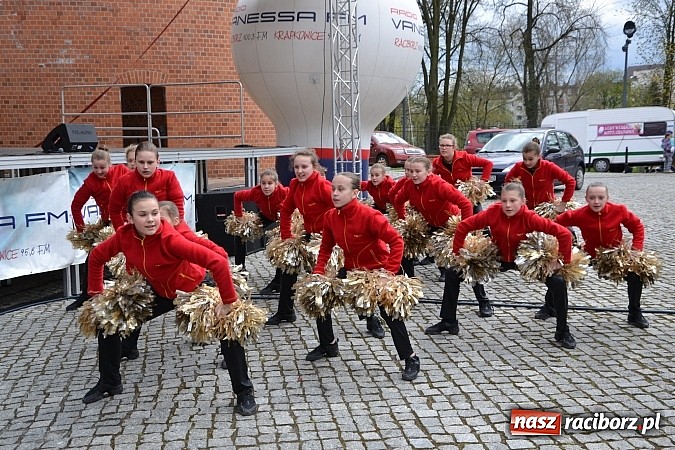 Zdjęcie w galerii na portalu naszraciborz.pl: III Zamkowy Jarmark kwiatów, żywności ekologicznej i rękodzieła już za nami wiadomości z regionu