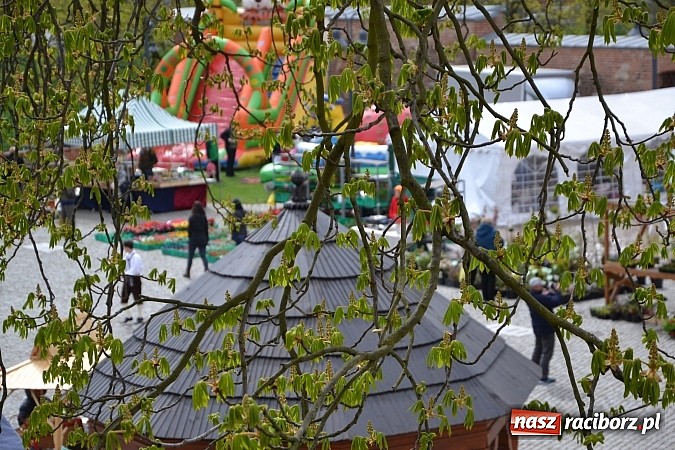 Zdjęcie w galerii na portalu naszraciborz.pl: III Zamkowy Jarmark kwiatów, żywności ekologicznej i rękodzieła już za nami wiadomości z regionu
