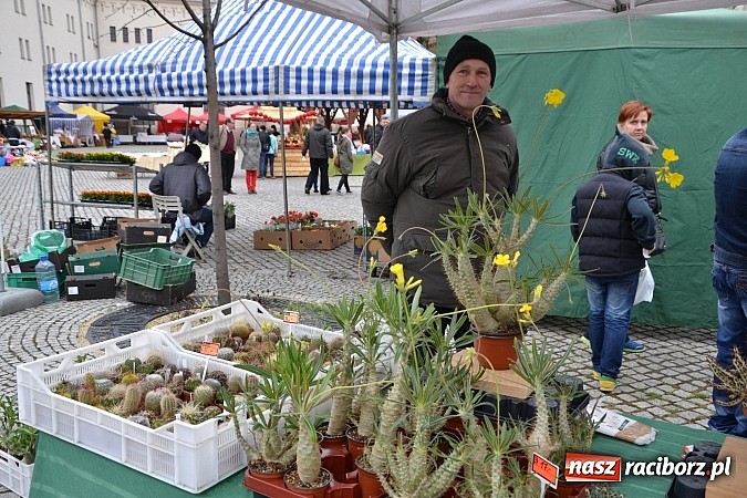 Zdjęcie w galerii na portalu naszraciborz.pl: III Zamkowy Jarmark kwiatów, żywności ekologicznej i rękodzieła już za nami wiadomości z regionu
