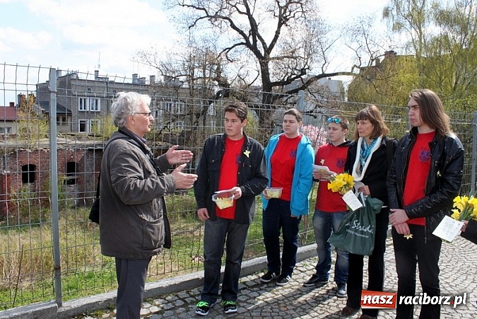 Zdjęcie w galerii na portalu naszraciborz.pl:  Gimnazjum Nr 5 w ogólnopolskiej akcji Żonkile 2015 wiadomości z regionu
