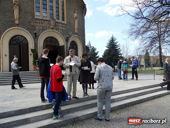 Zdjęcie w galerii na portalu naszraciborz.pl:  Gimnazjum Nr 5 w ogólnopolskiej akcji Żonkile 2015 wiadomości z regionu