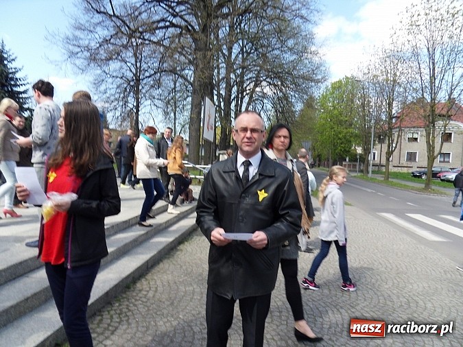 Zdjęcie w galerii na portalu naszraciborz.pl:  Gimnazjum Nr 5 w ogólnopolskiej akcji Żonkile 2015 wiadomości z regionu