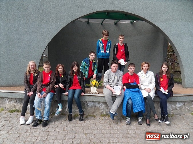 Zdjęcie w galerii na portalu naszraciborz.pl:  Gimnazjum Nr 5 w ogólnopolskiej akcji Żonkile 2015 wiadomości z regionu