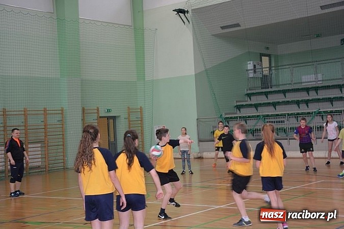 Zdjęcie w galerii na portalu naszraciborz.pl: Uczniowie podstawówek zagrali w dwa ognie wiadomości z regionu