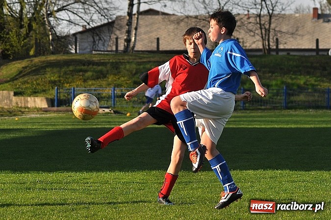 Zdjęcie w galerii na portalu naszraciborz.pl: Młodziki: Trzy punkty zostały w Raciborzu wiadomości z regionu