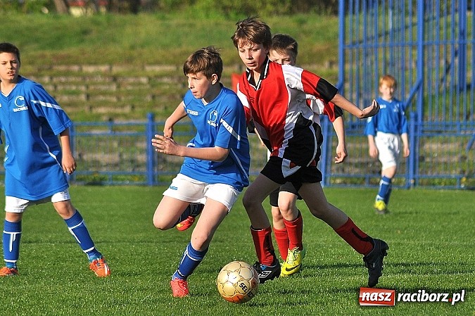 Zdjęcie w galerii na portalu naszraciborz.pl: Młodziki: Trzy punkty zostały w Raciborzu wiadomości z regionu